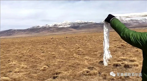 乐博体育app下载,湖南野生动物追踪,湖南卫星追踪器,湖南追踪器