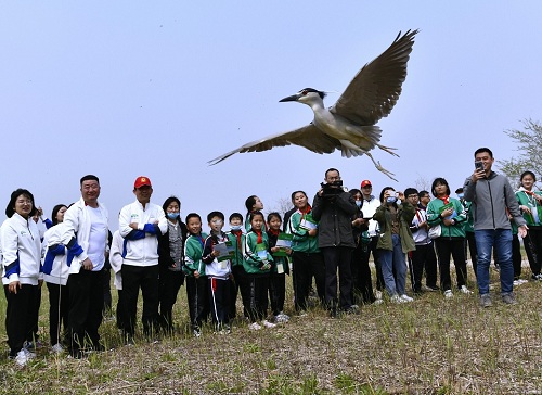 乐博体育app下载,湖南野生动物追踪,湖南卫星追踪器,湖南追踪器