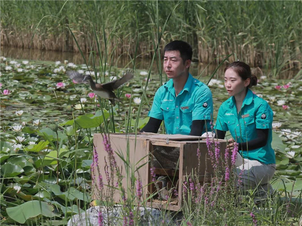 乐博体育app下载,湖南野生动物追踪,湖南卫星追踪器,湖南追踪器