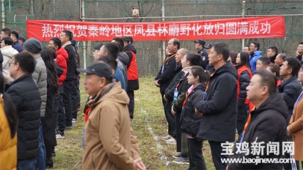 乐博体育app下载,湖南野生动物追踪,湖南卫星追踪器,湖南追踪器