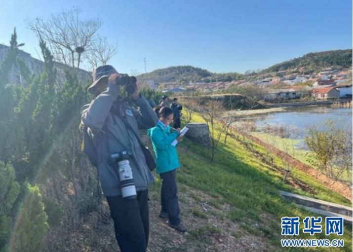 乐博体育app下载,湖南野生动物追踪,湖南卫星追踪器,湖南追踪器